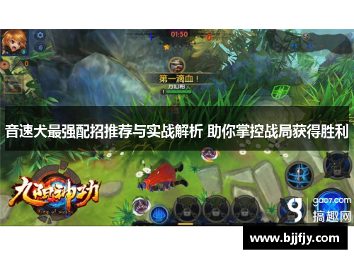 音速犬最强配招推荐与实战解析 助你掌控战局获得胜利
